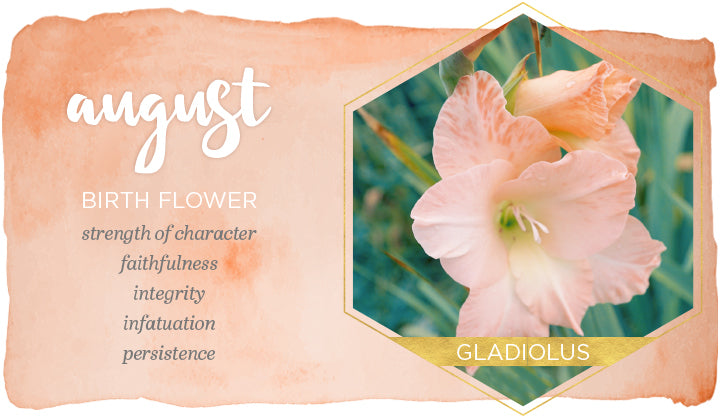 Celebrating August Birth Flowers: Gladiolus and Poppy