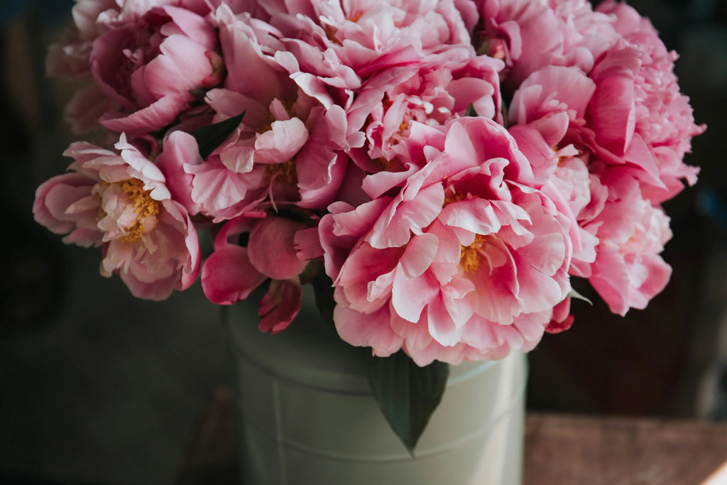 What Do Peony Colors Mean? Flower Symbolism