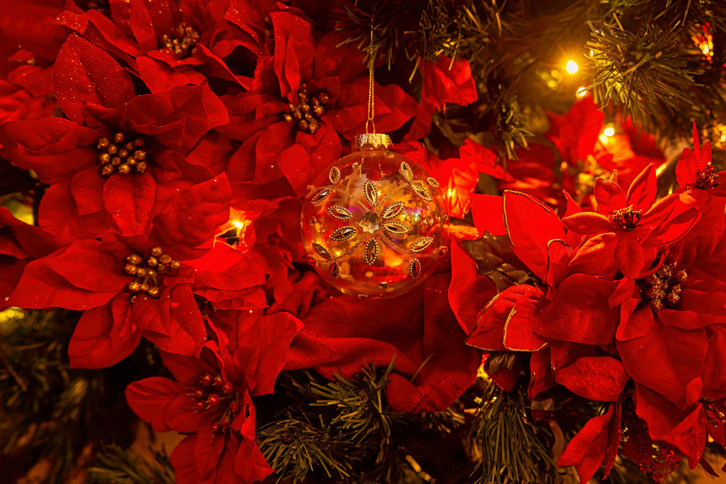 Red poinsettias with Christmas ornaments