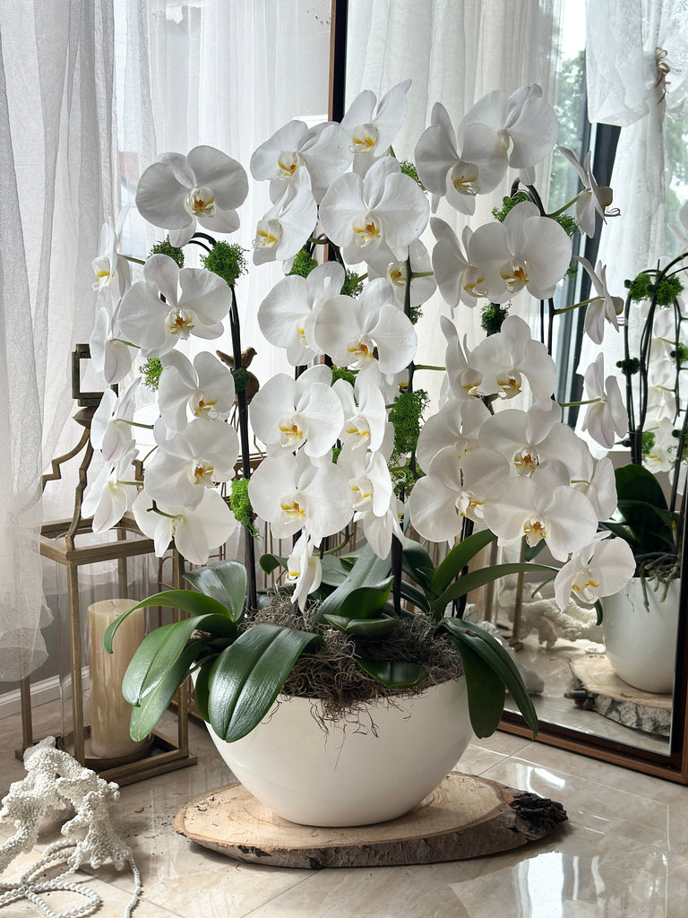 White Cascade Orchids in a boat