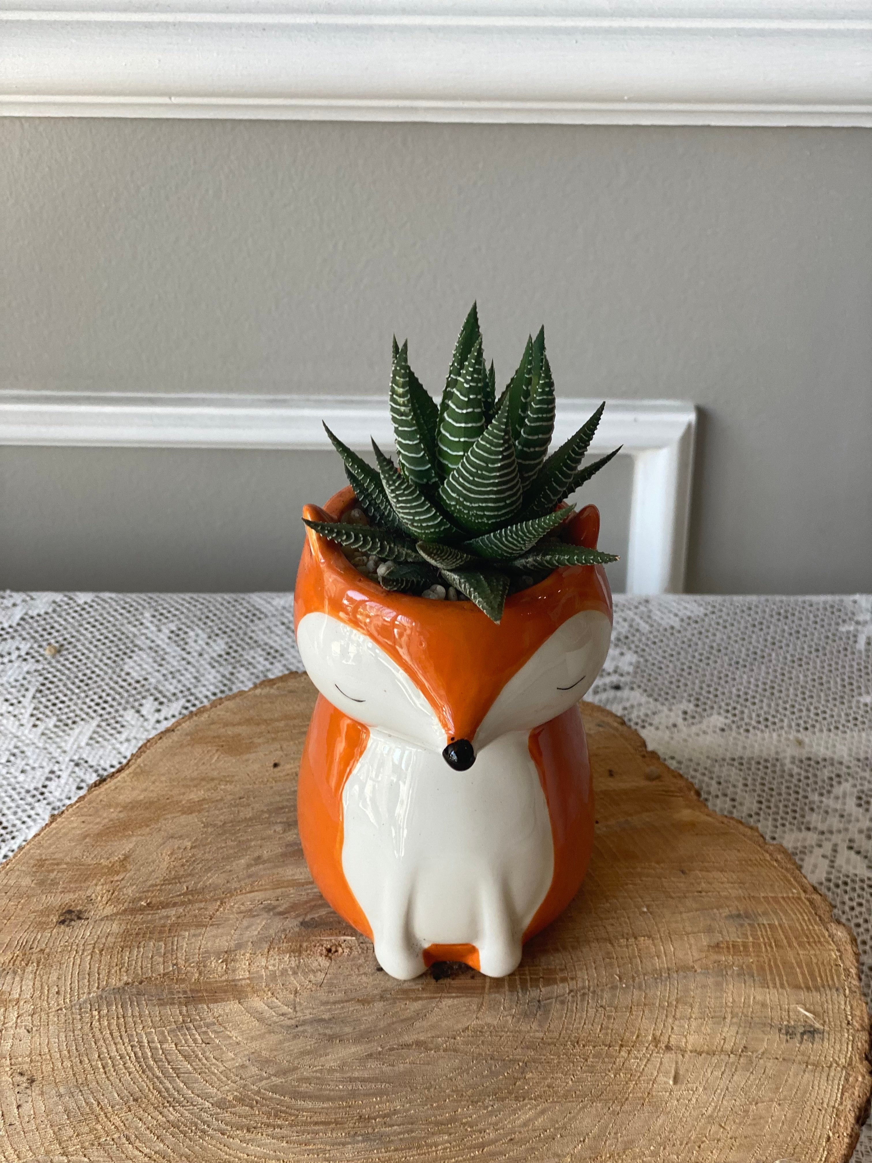 fox succulent planter Succulent fox