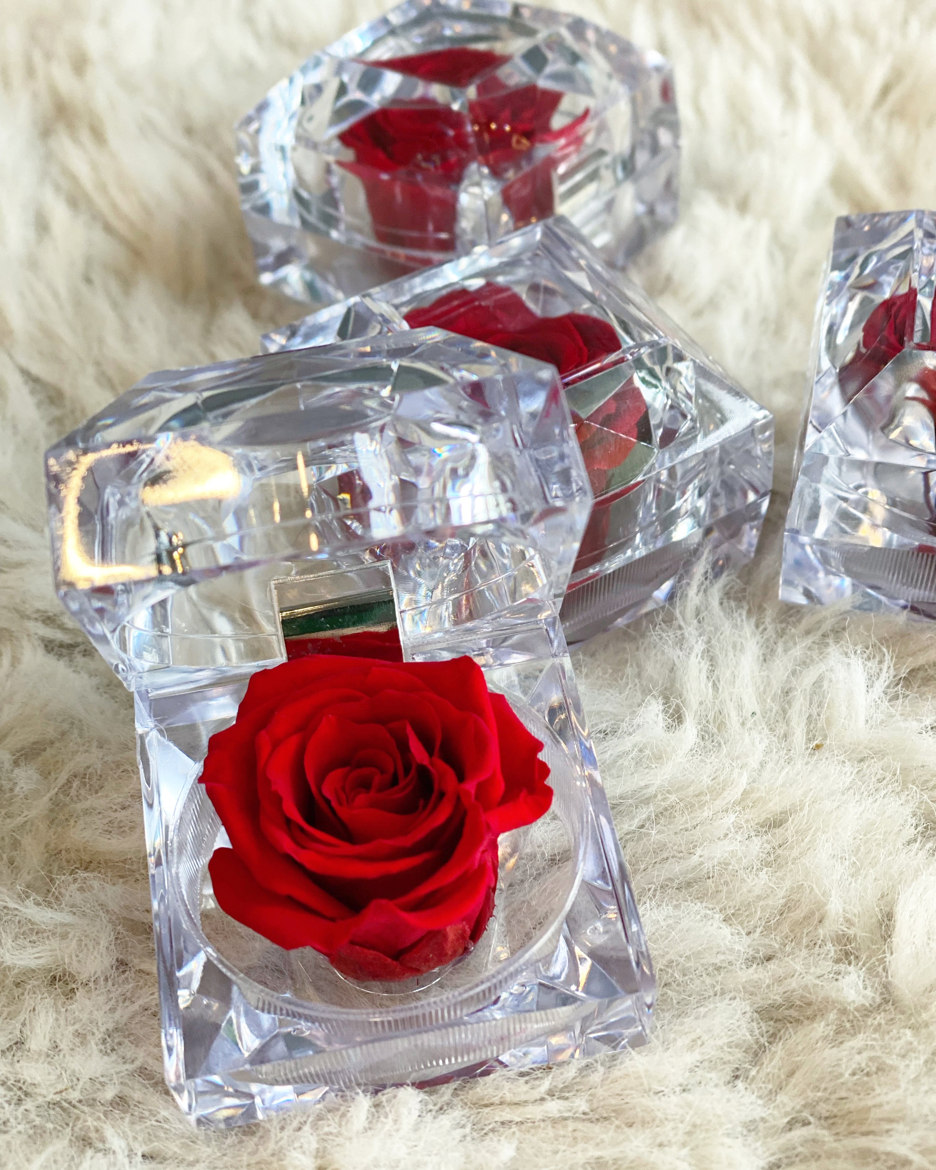 Memory Case For Roses Mini Preserved Rose Flower Jewelry Case | La Belle Fleur